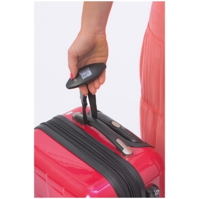 Luggage scale