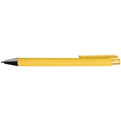 Plastic pen