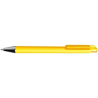 Plastic pen