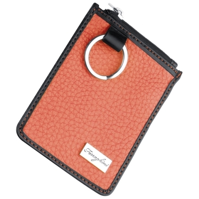 Ferraghini key case