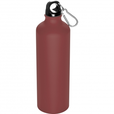 800 ml Drinking bottle with snap hook