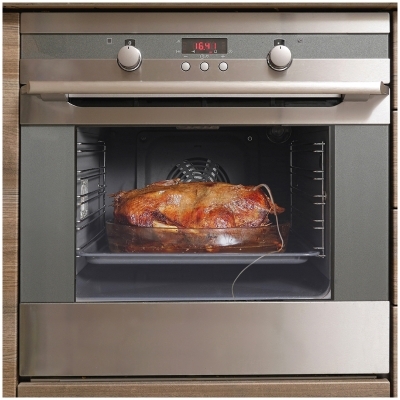Meat thermometer