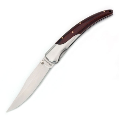 Folding knife RAY