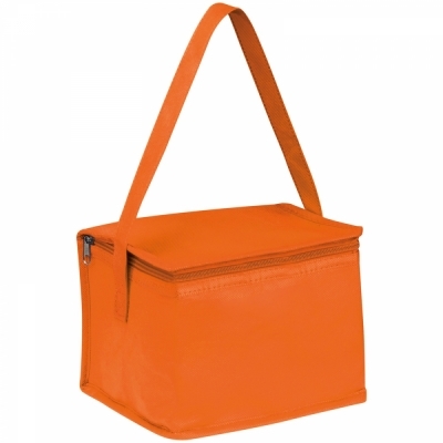 Non-woven cooling bag - 6 cans