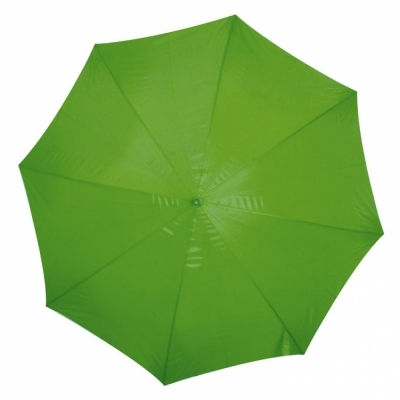 Automatic umbrella