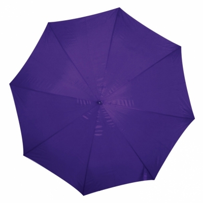 Automatic umbrella