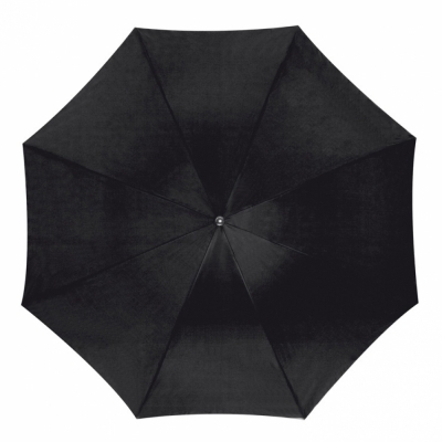 Automatic umbrella