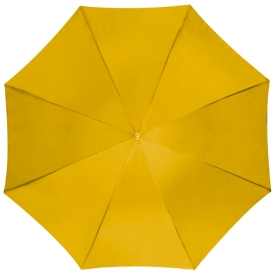 Automatic umbrella