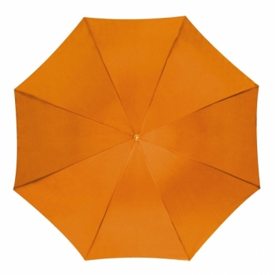 Automatic umbrella