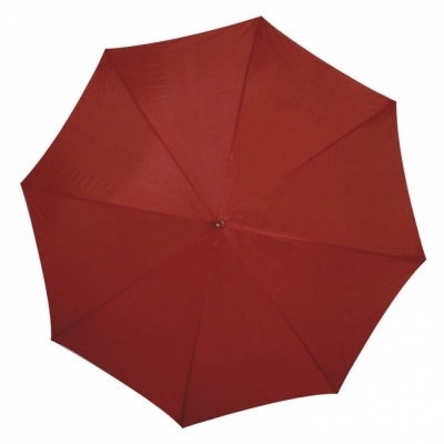 Automatic umbrella