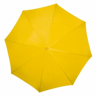 Automatic umbrella
