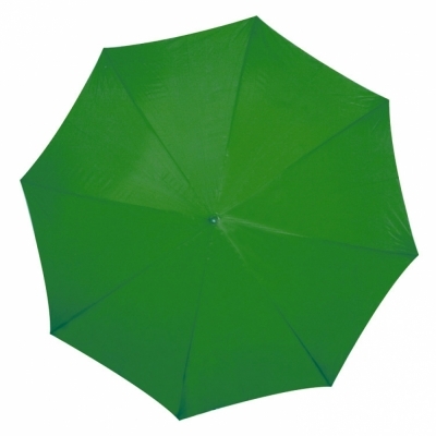 Automatic umbrella