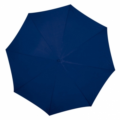Automatic umbrella