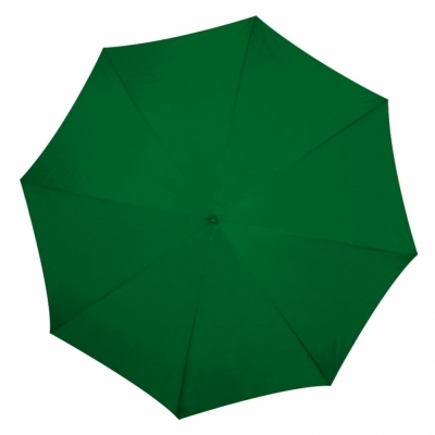 Automatic umbrella