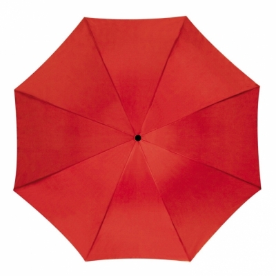 Automatic umbrella