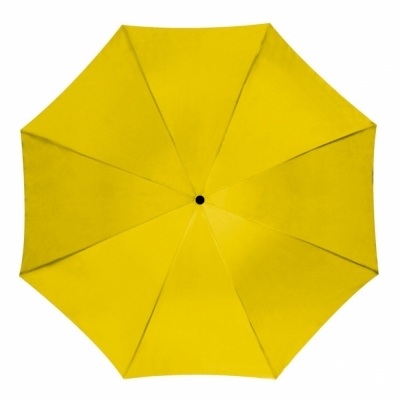 Automatic umbrella