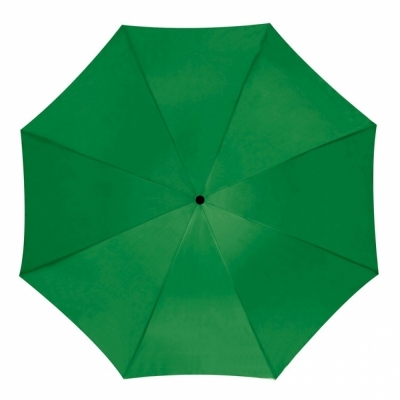 Automatic umbrella