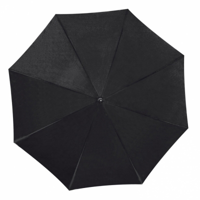Automatic umbrella