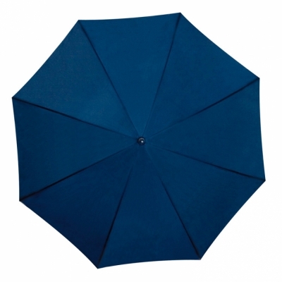Automatic umbrella