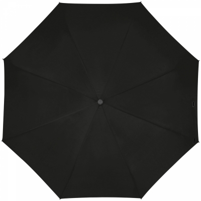 Automatic umbrella with carabiner handle