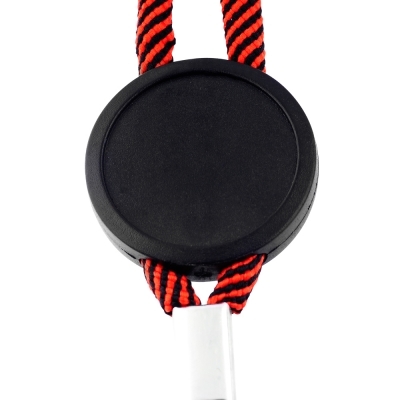 Lanyard