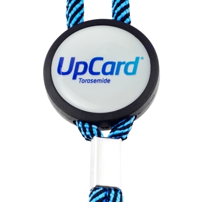 Lanyard