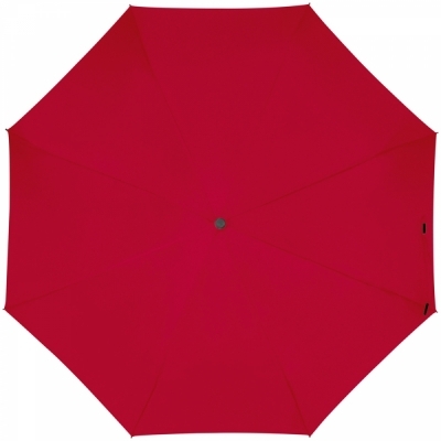 Automatic umbrella with carabiner handle