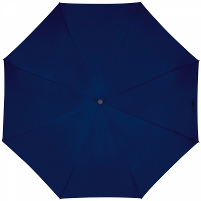 Automatic umbrella with carabiner handle