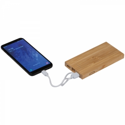 Bamboo power bank