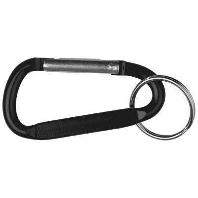 Key chain with carabiner