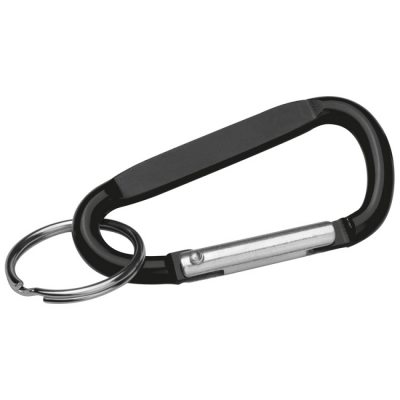 Key chain with carabiner