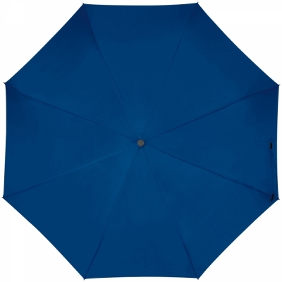 Automatic umbrella with carabiner handle