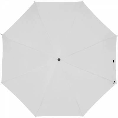 Automatic umbrella with carabiner handle