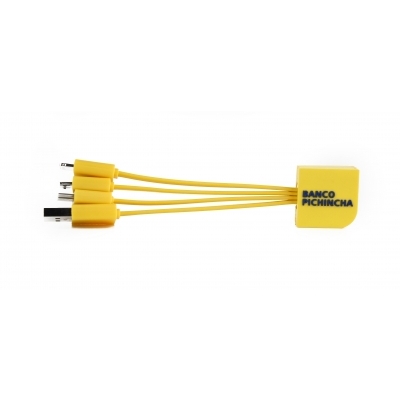 Personalized charging cable 3in1