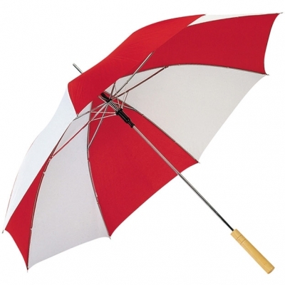Automatic umbrella