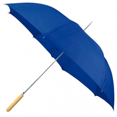 Automatic umbrella