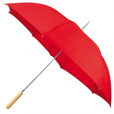 Automatic umbrella