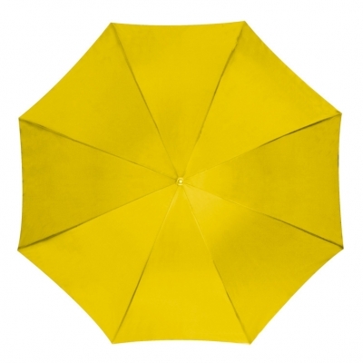 Automatic umbrella