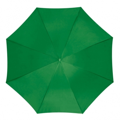 Automatic umbrella