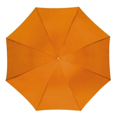 Automatic umbrella