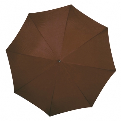 Automatic umbrella