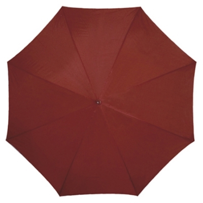 Automatic umbrella