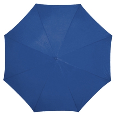 Automatic umbrella