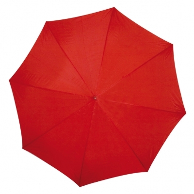 Automatic umbrella