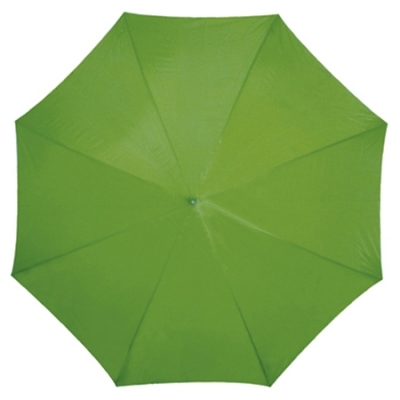 Automatic umbrella