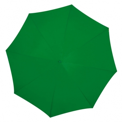 Automatic umbrella