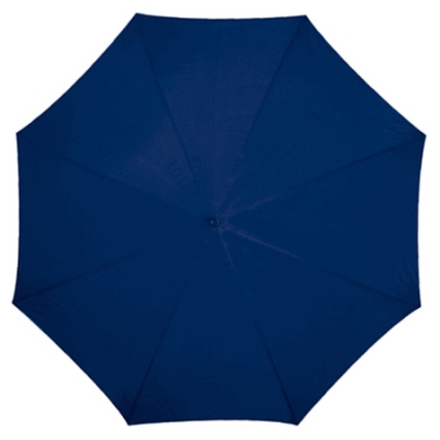 Automatic umbrella