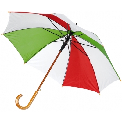 Automatic umbrella