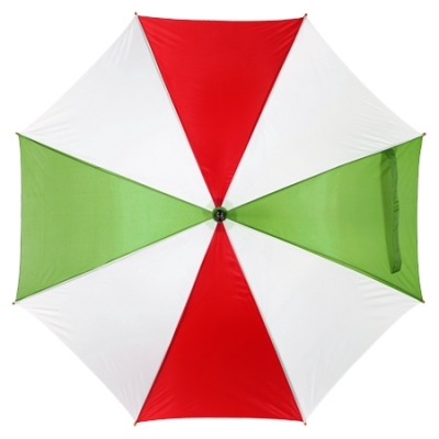 Automatic umbrella