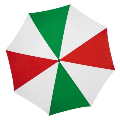 Automatic umbrella